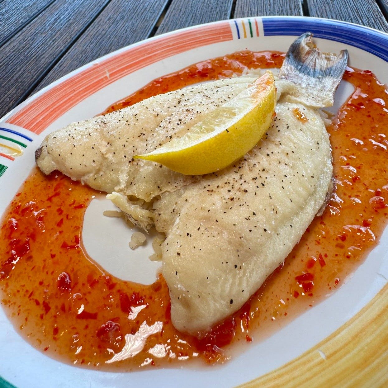 Island Hogfish.
